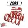 Cobra Suspension Honda Civic 1995-2001 45/45mm - main product image